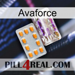 Avaforce new12